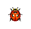 Coccinelle - Animal Crossing (Gamecube)