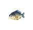 Carassin - Animal Crossing (Gamecube)