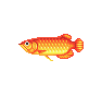 Arowana - Animal Crossing : Wild World (DS) [ACWW]