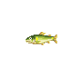 Ayu - Animal Crossing : Wild World (DS) [ACWW]