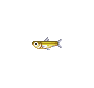 Eperlan - Animal Crossing : Wild World (DS) [ACWW]