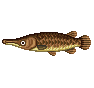 Gar - Animal Crossing : Wild World (DS) [ACWW]