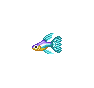 Guppy - Animal Crossing : Wild World (DS) [ACWW]