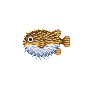 Poisson-lune - Animal Crossing : Wild World (DS) [ACWW]