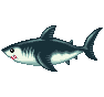 Requin - Animal Crossing : Wild World (DS) [ACWW]