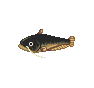 Silure - Animal Crossing : Wild World (DS) [ACWW]
