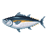 Thon - Animal Crossing : Wild World (DS) [ACWW]